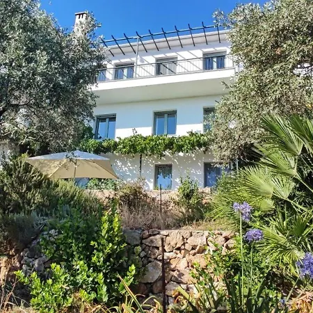 Horizon - Sunset & Seaview