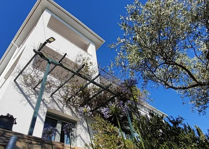 Horizon - Sunset & Seaview * ポトス