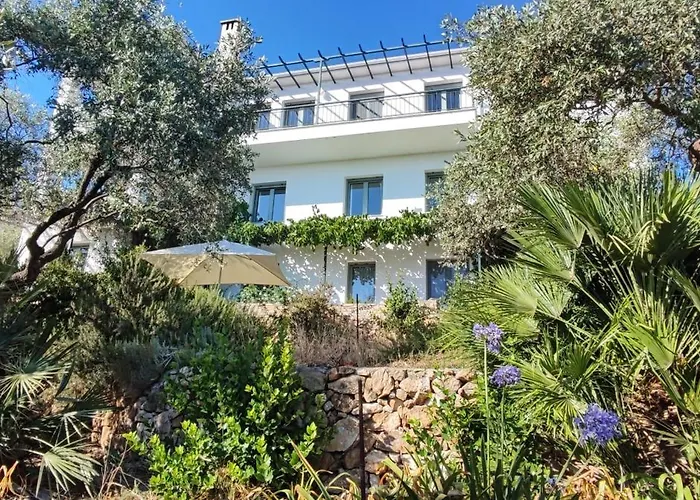 Horizon - Sunset & Seaview